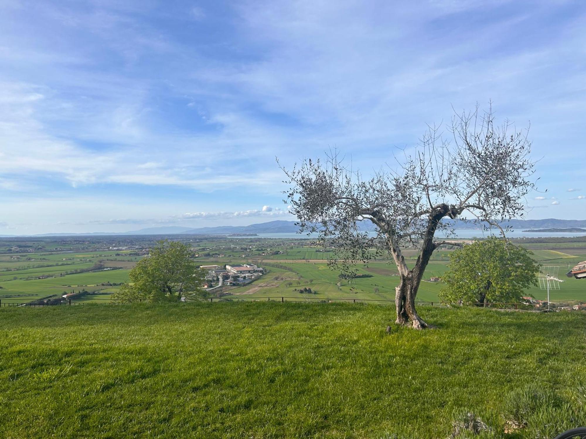 Boutique Hotel Masolino Panicale Kültér fotó